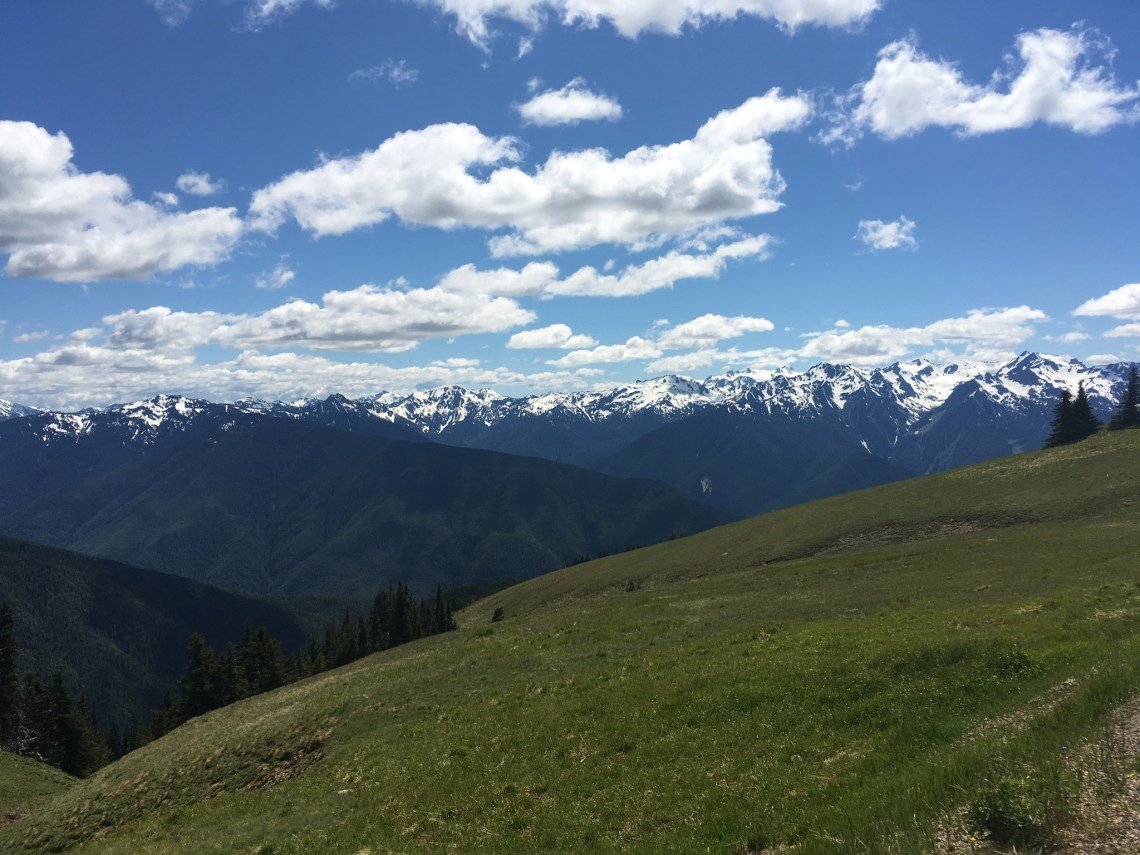 42BF6572-67DF-4C4D-8E62-5A5CDE195B57