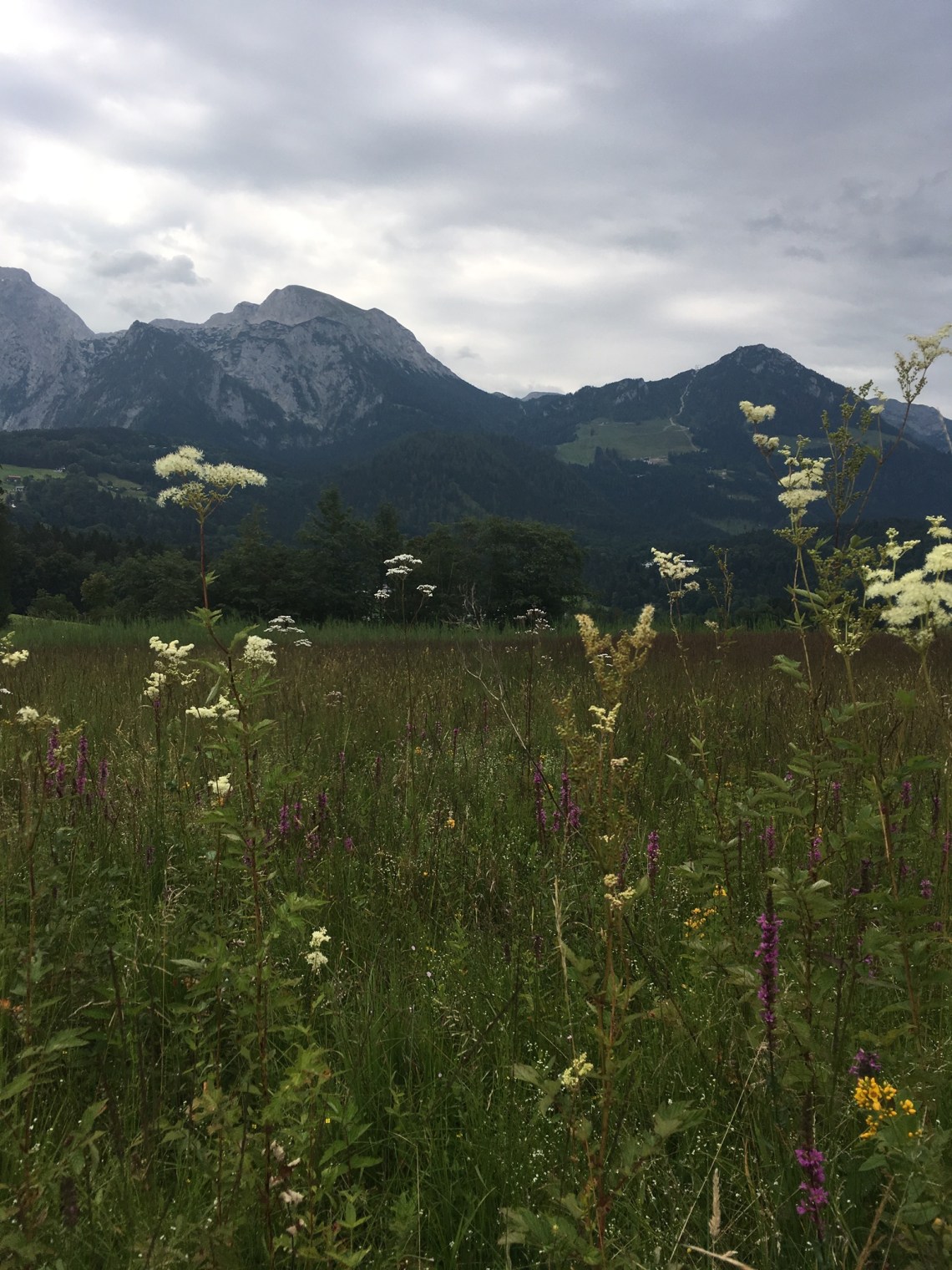 07DBB9D0-107A-4A81-B20B-58C5533135EC