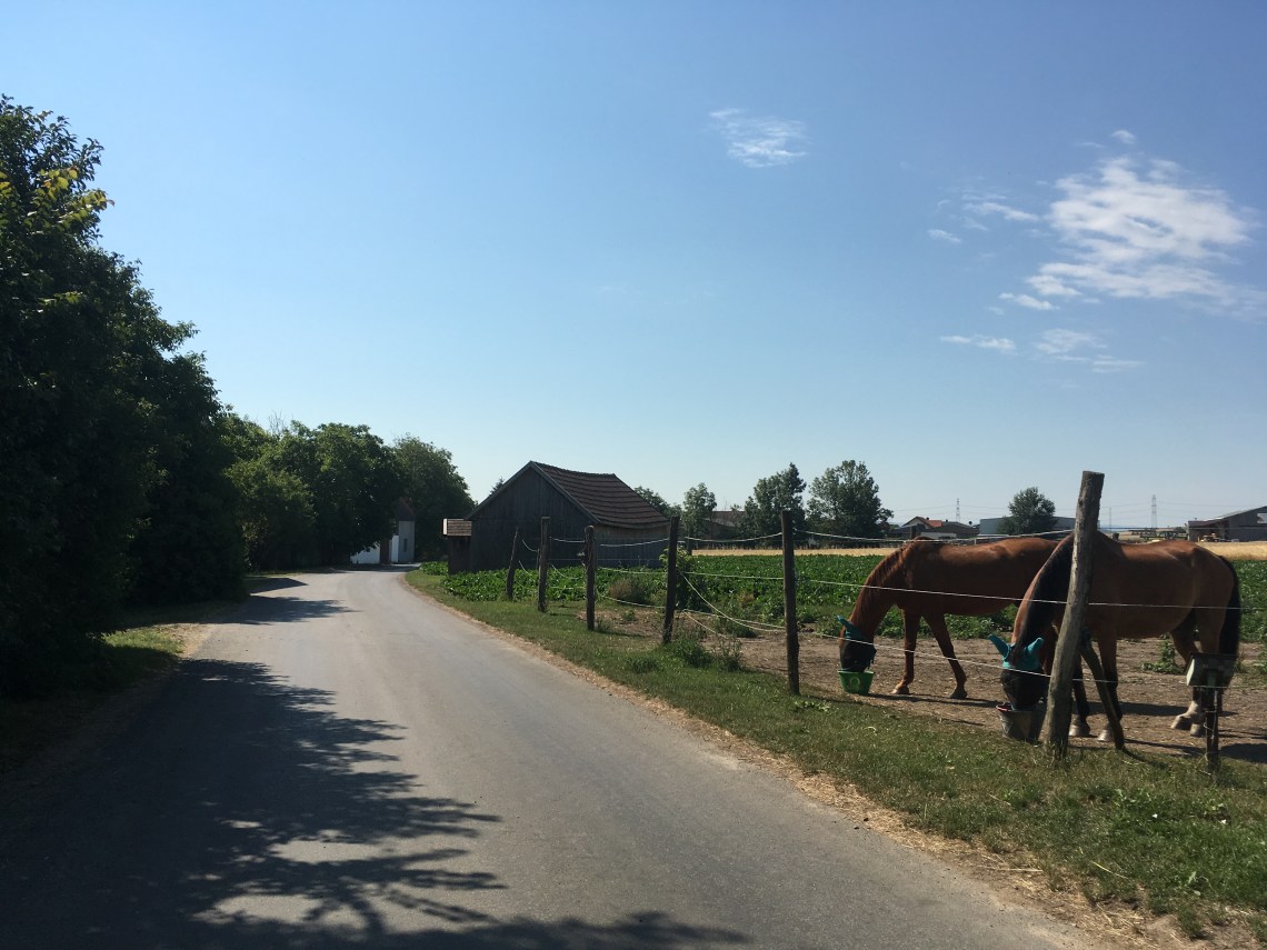 2667EF7D-05B7-4FF8-AC4E-DA96EC2B4BCC