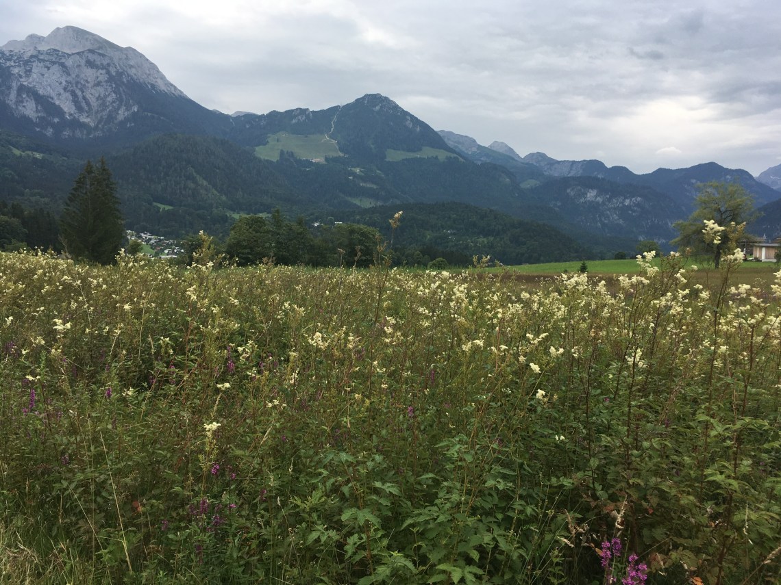 43994DE6-F2C0-4EBD-9F21-684F8BBD1989