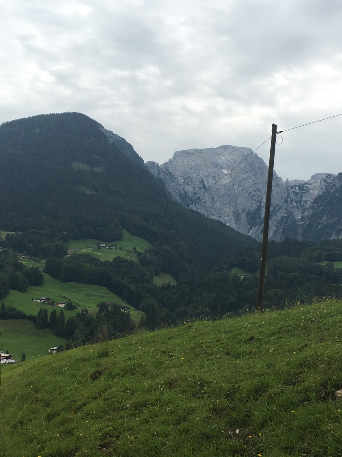 45E19ABF-438A-47CF-870D-1EFD9B854F03