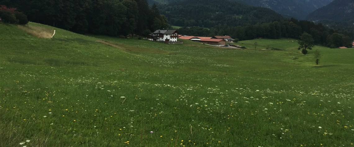 474A24C0-F473-464E-9C4A-11F9728518B0