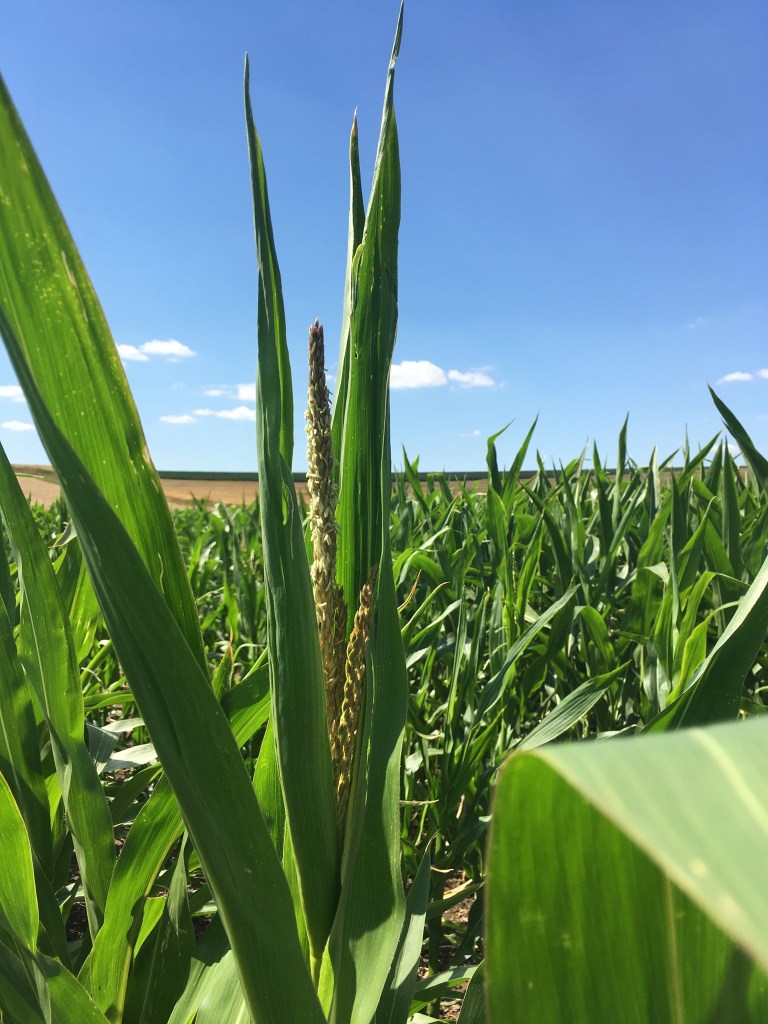 4AB939DA-2E3A-4F45-878A-6D8B595D4DE8