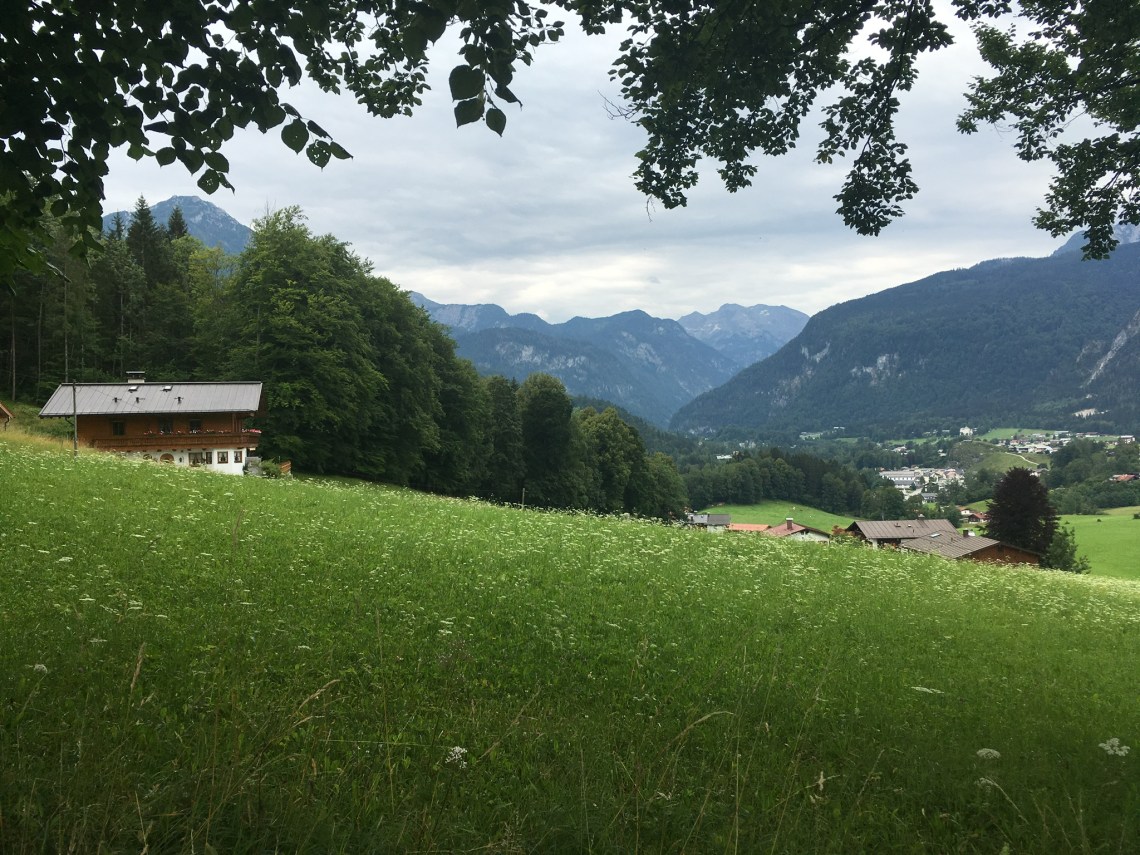 5A3651B4-9C7C-4010-BAA5-023EFD3700A6