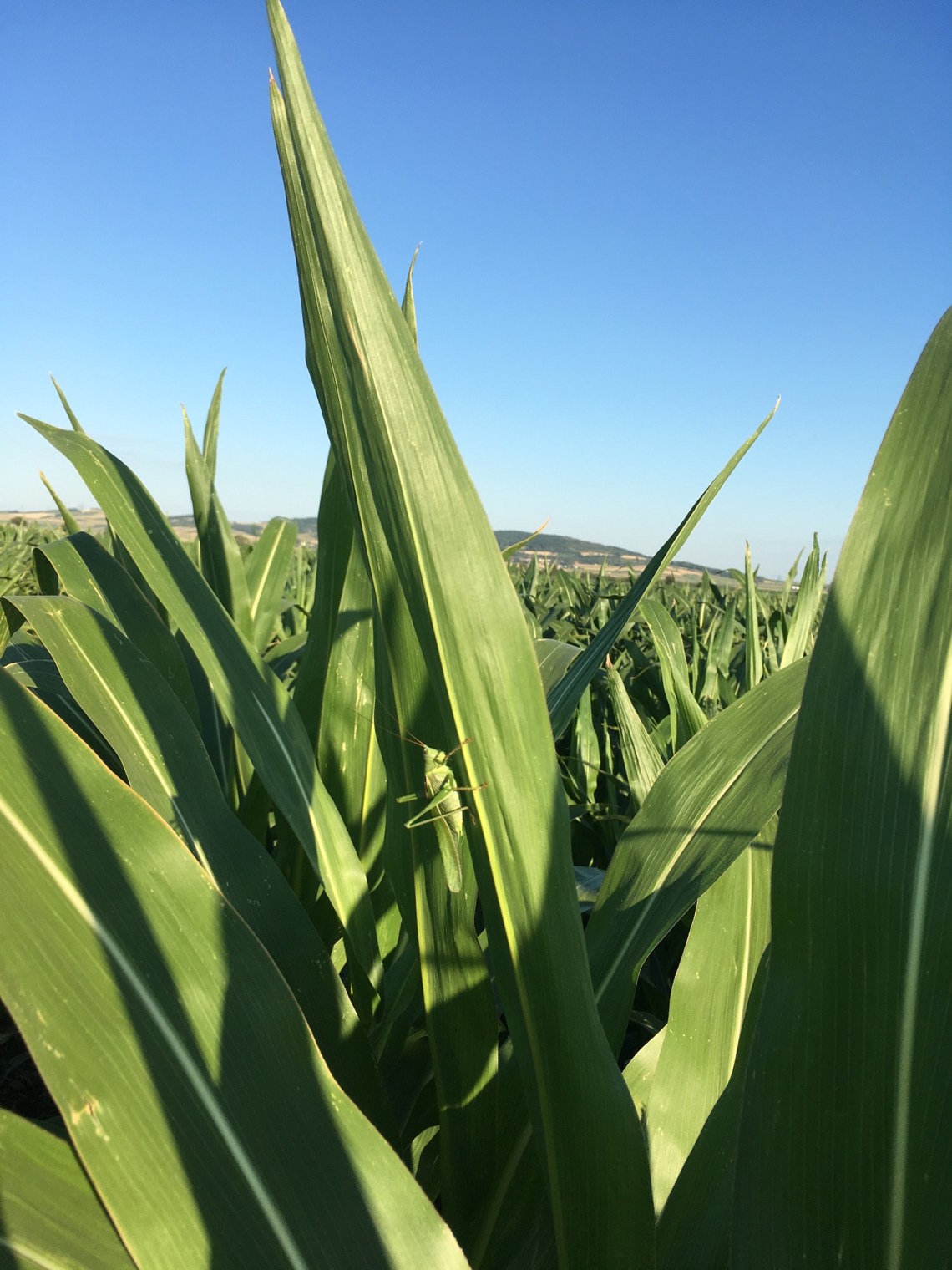 6DBE1016-F486-4D4C-870F-E97150E79BBD