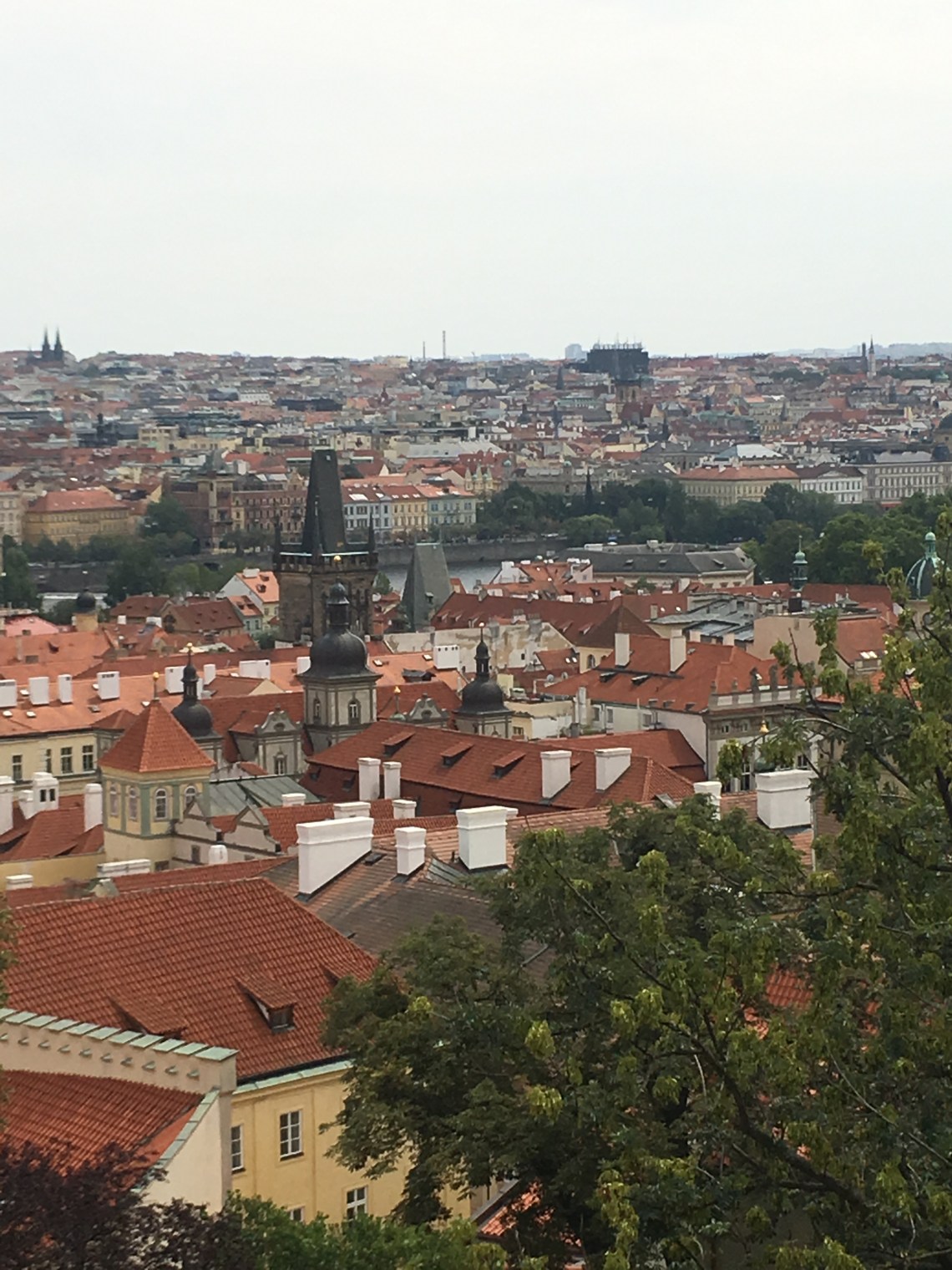 83EE60CC-3A74-4AE8-A269-E97C709A2727