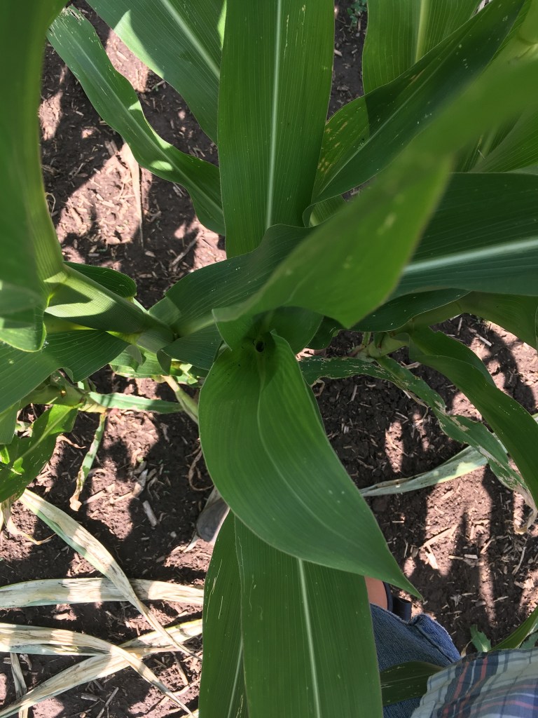 8CFD79DD-6576-48A6-9CE1-B882C279DF82