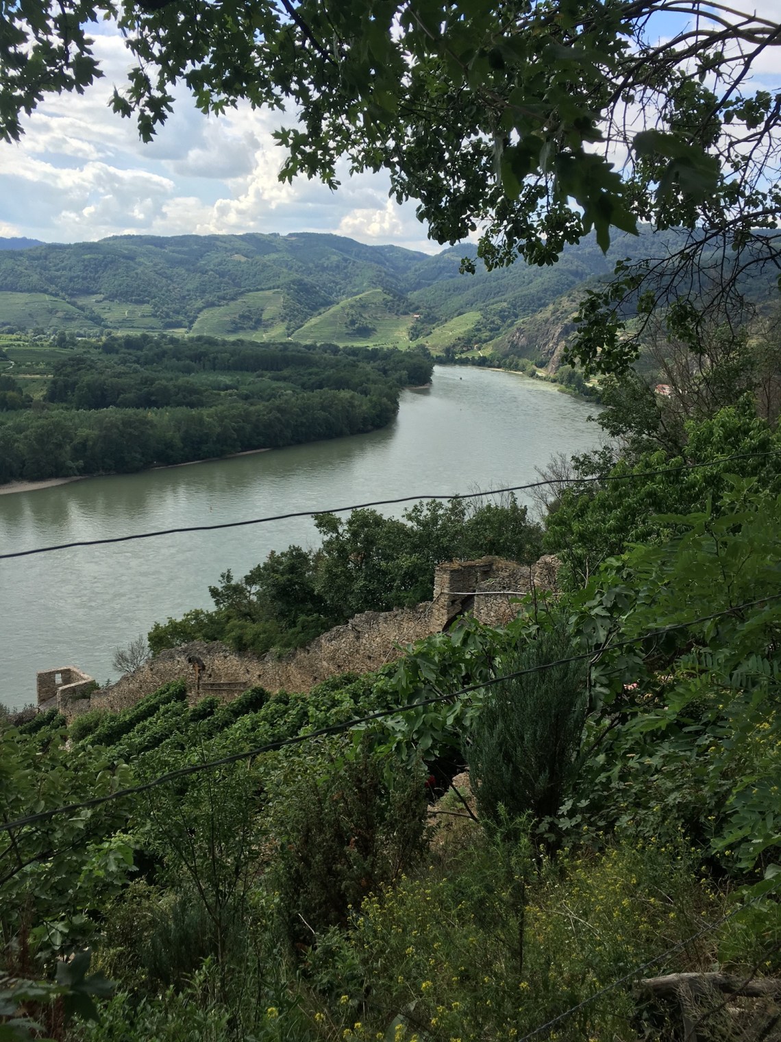 9189F70C-886B-4F85-BA05-B4D83ECCF91E