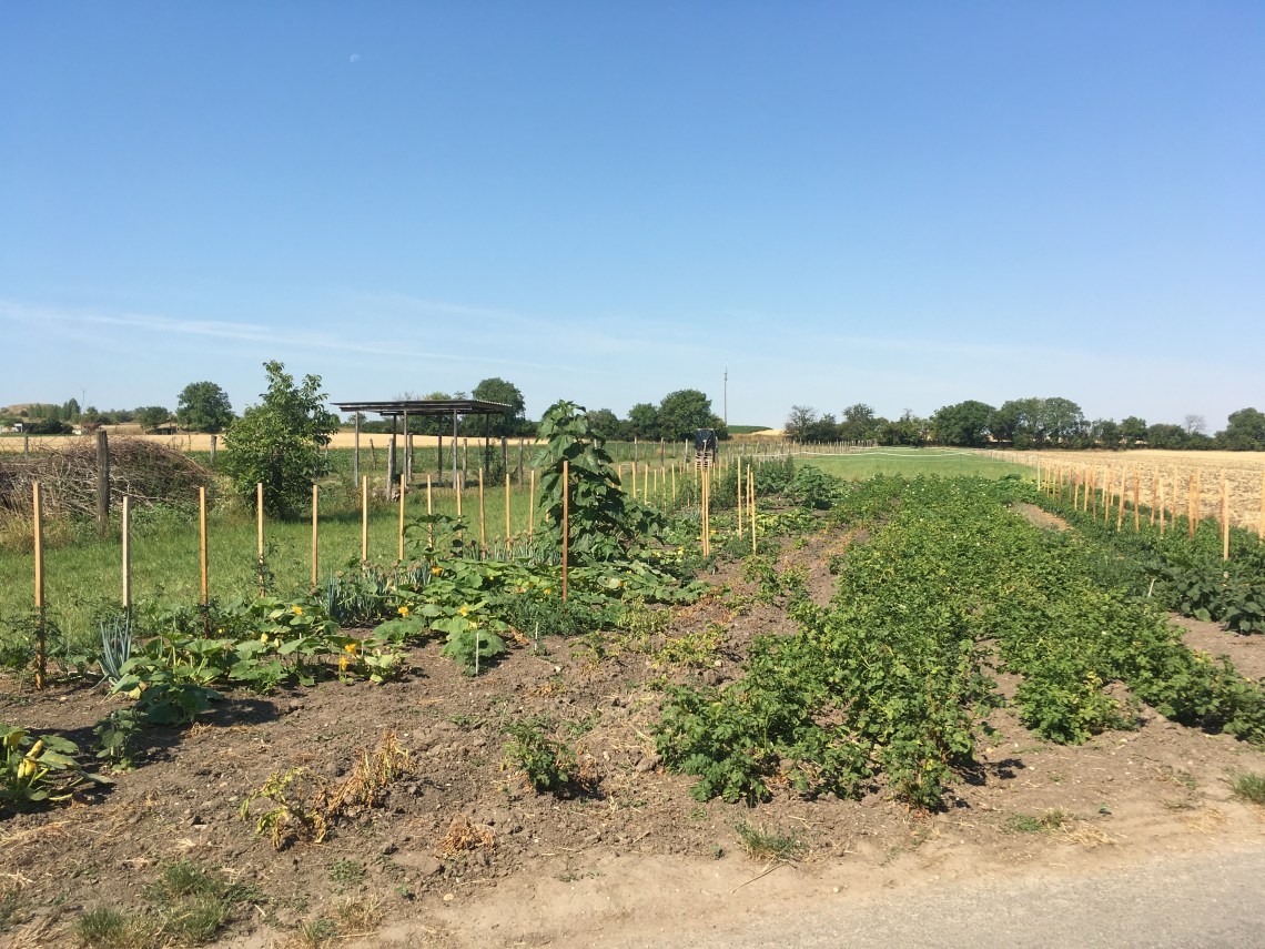 AF78B526-5794-4C4B-8F83-18ECEB5B91F2