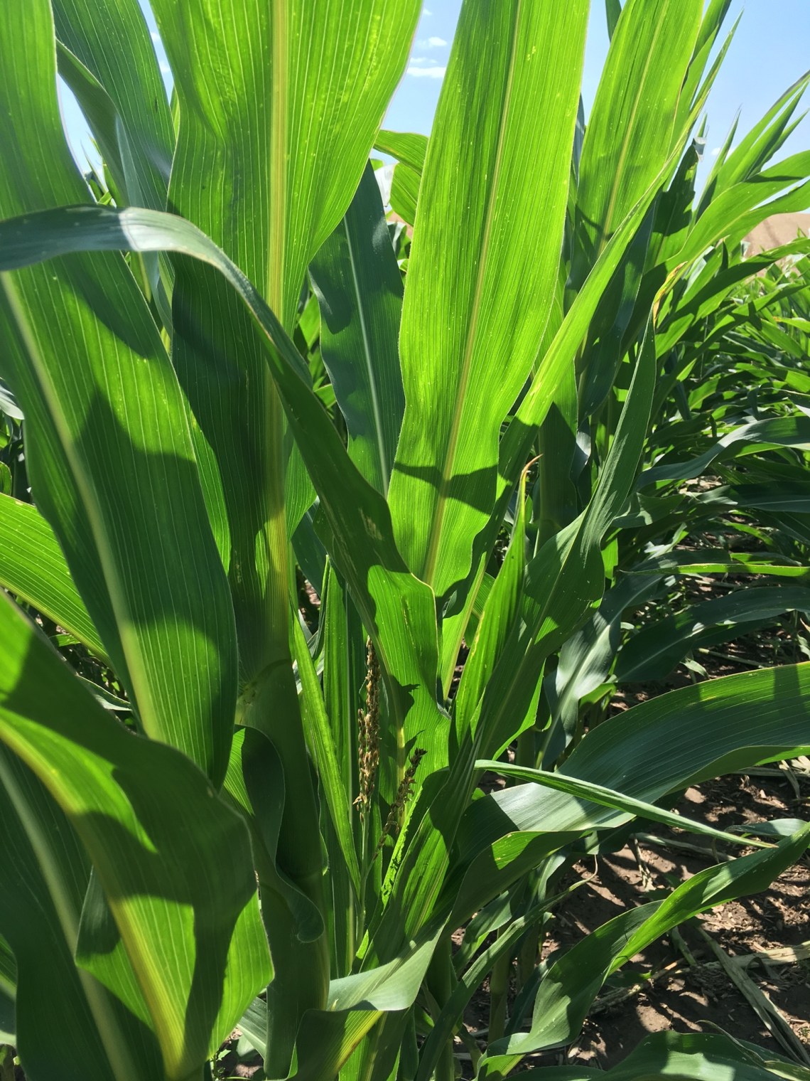 D5C923FF-C7AE-4CE8-A9F9-6BE1ECDEF594