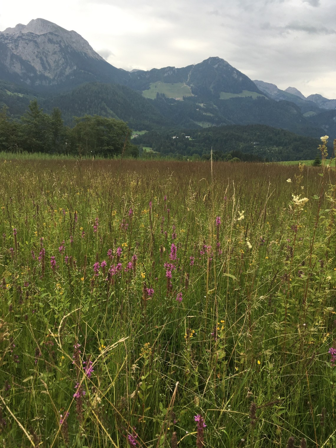 DC65C9AB-3939-4741-B084-64F3CDA49F53