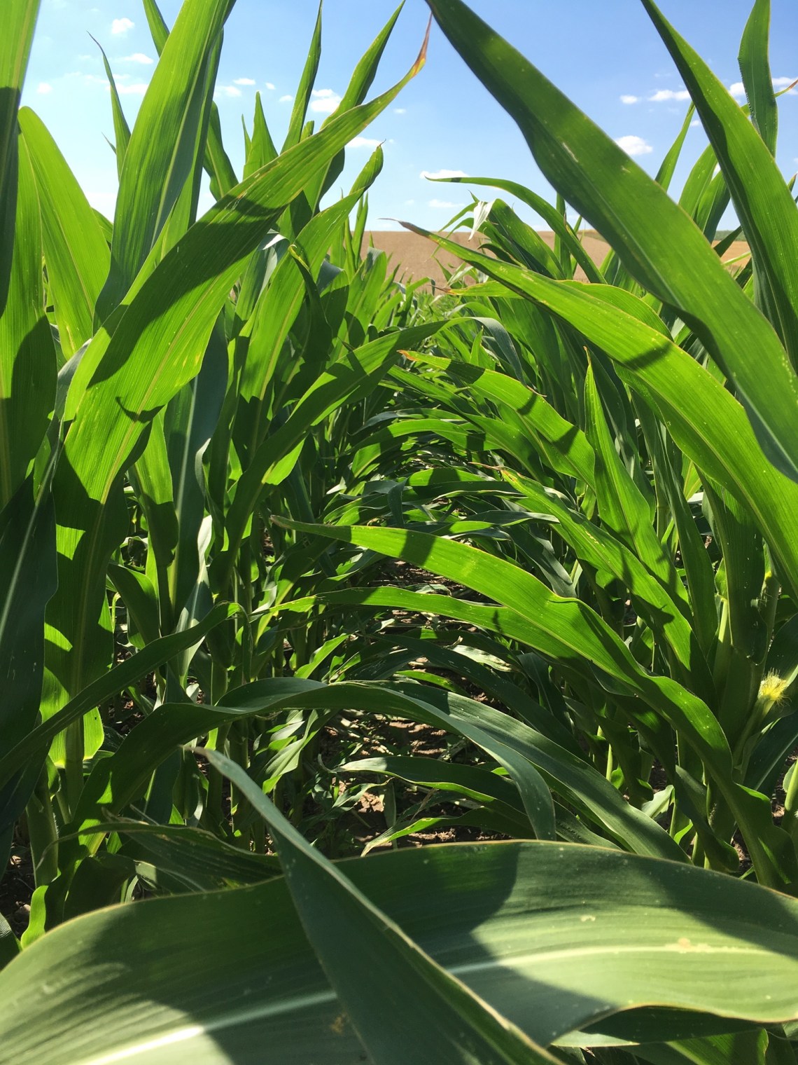 EC14A804-90C2-45CF-B653-9BCEBDB4C522