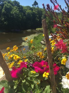 EC713FFA-7F6F-43AD-8B97-8449C5320805