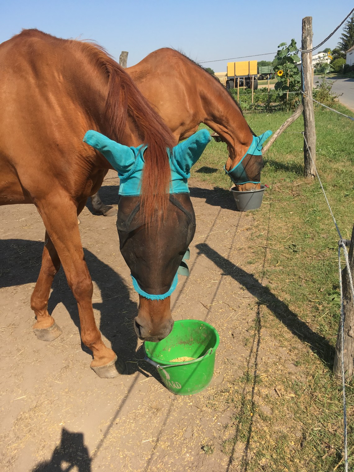 F2724DA5-3610-4078-927F-9C205B5B72CE