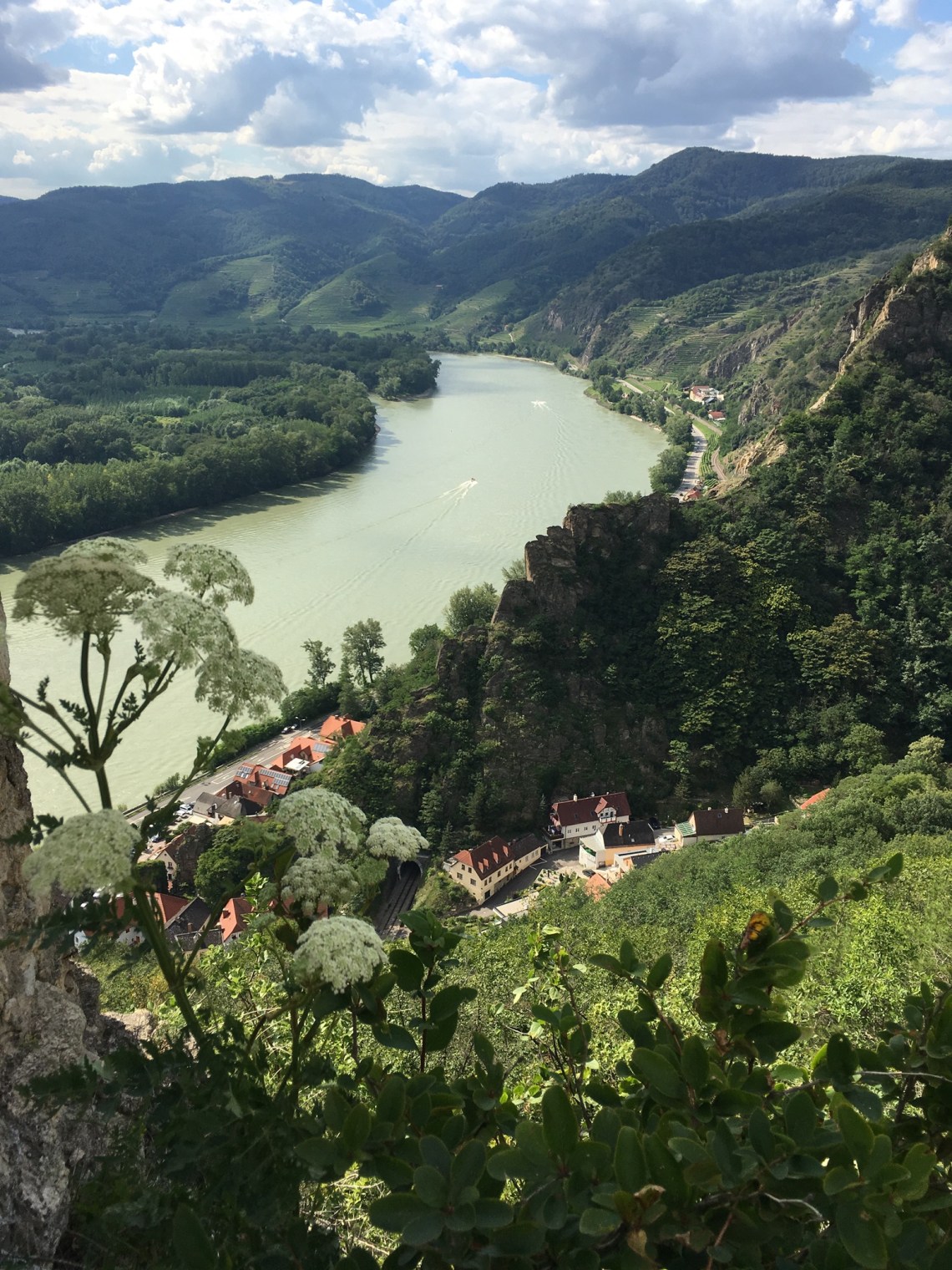 F6A66A4F-C5E3-480C-BE91-37486C312F51