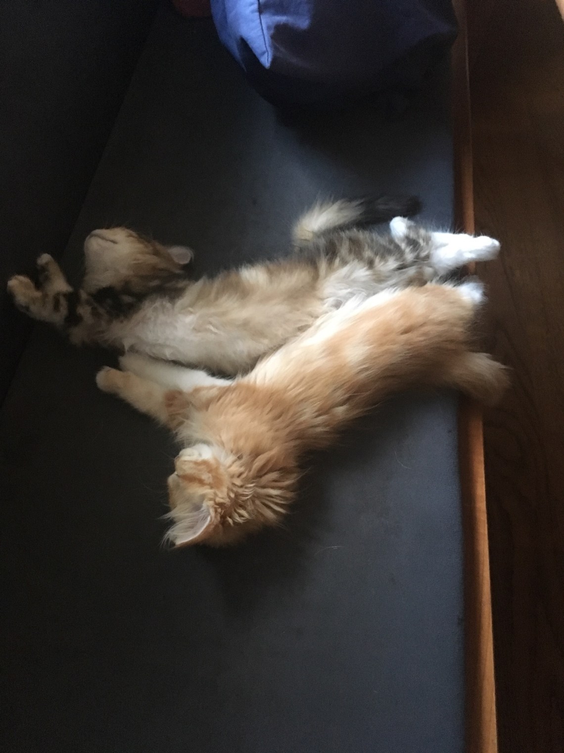 0A3D1C33-EAD9-4CFE-AA8F-059CD0ECB873