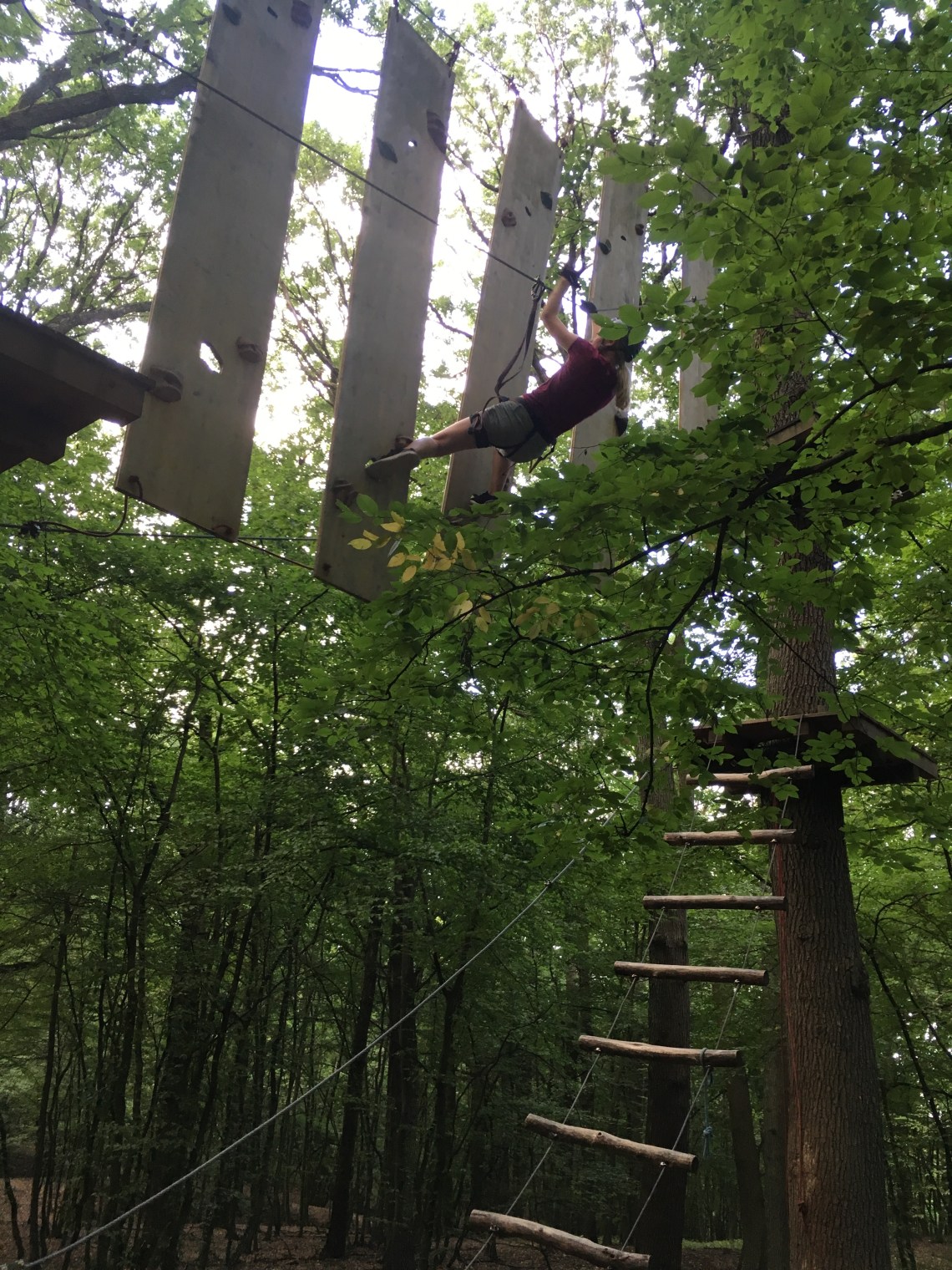 3846BB5F-827E-4E39-BCFC-03B1EF3A818D