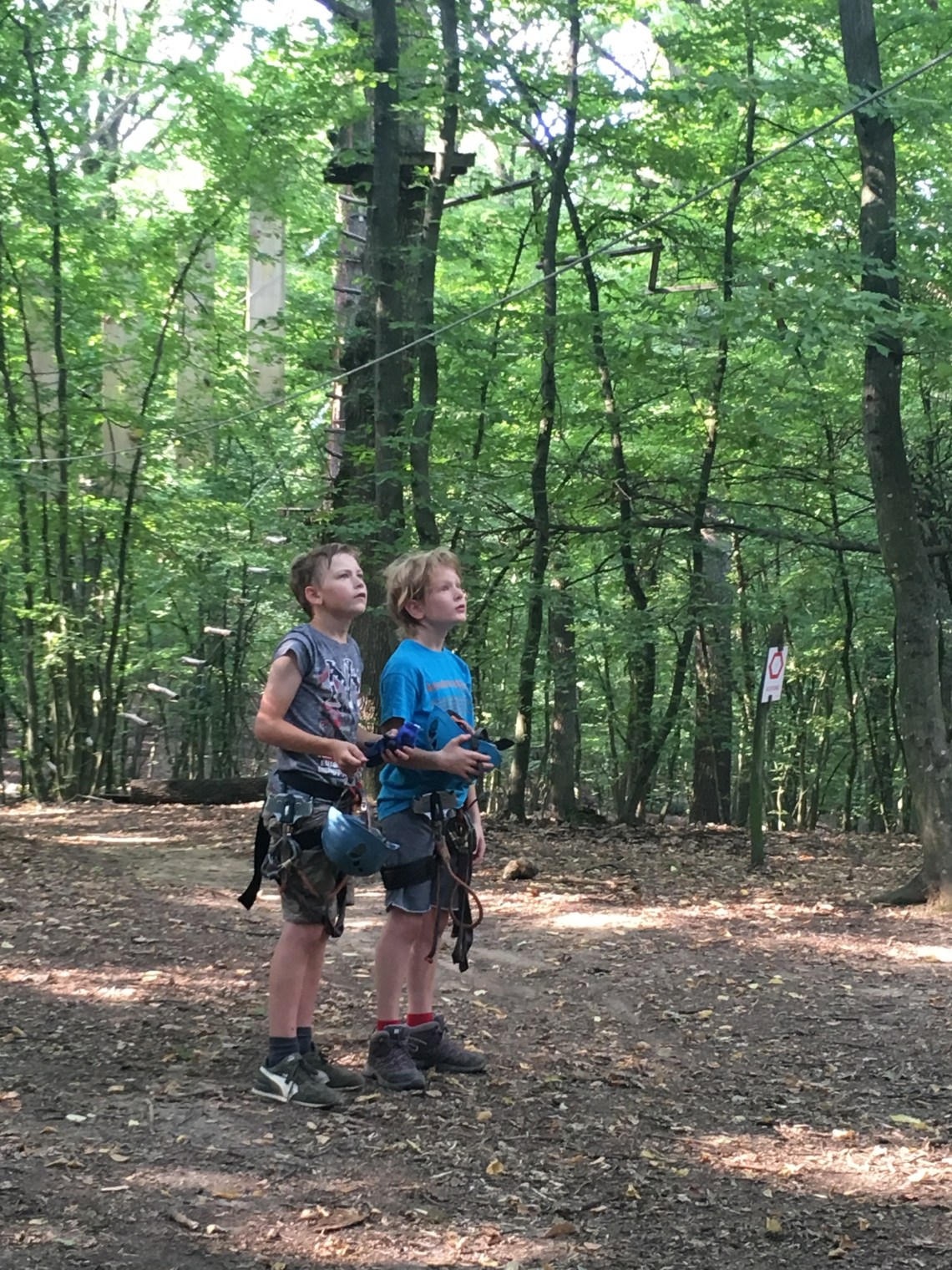 4298F843-A1F4-4E25-AE05-1B9972BE9E17