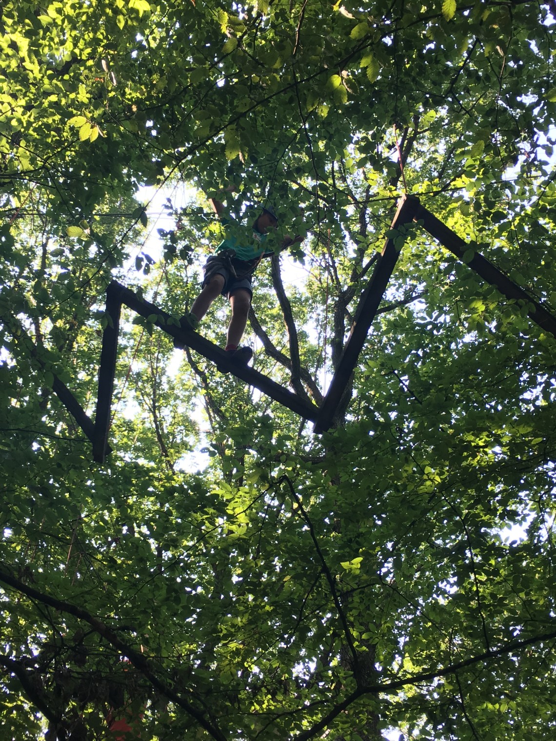 61146559-86A2-496E-B149-AF0E388E3E0B