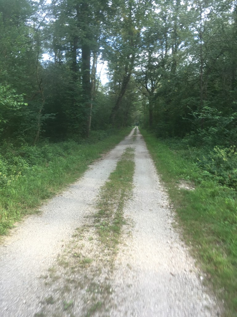 665A5244-547D-4CF4-AF0C-C0D1CCA33B69