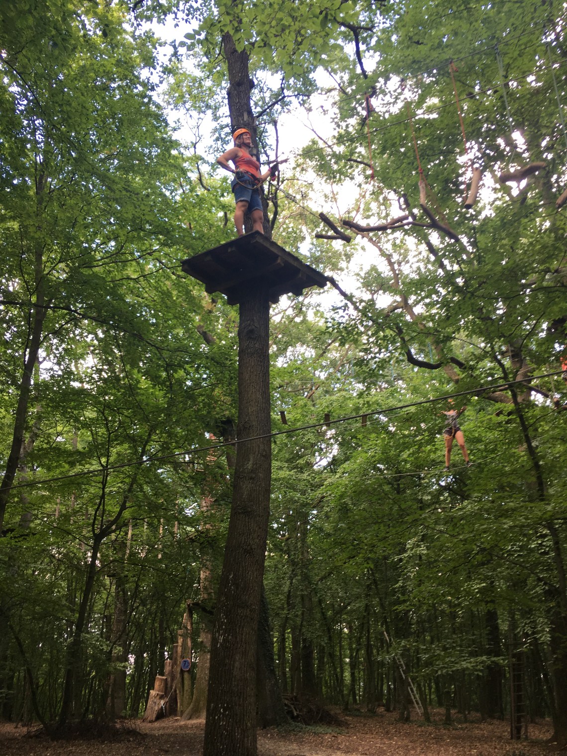 9B1DB100-ED09-4F6E-A995-58B75A6870D8