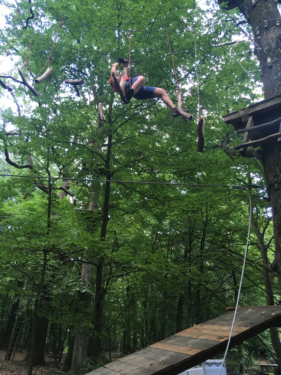 A1256934-13CF-42DE-8234-BF233A2F6283