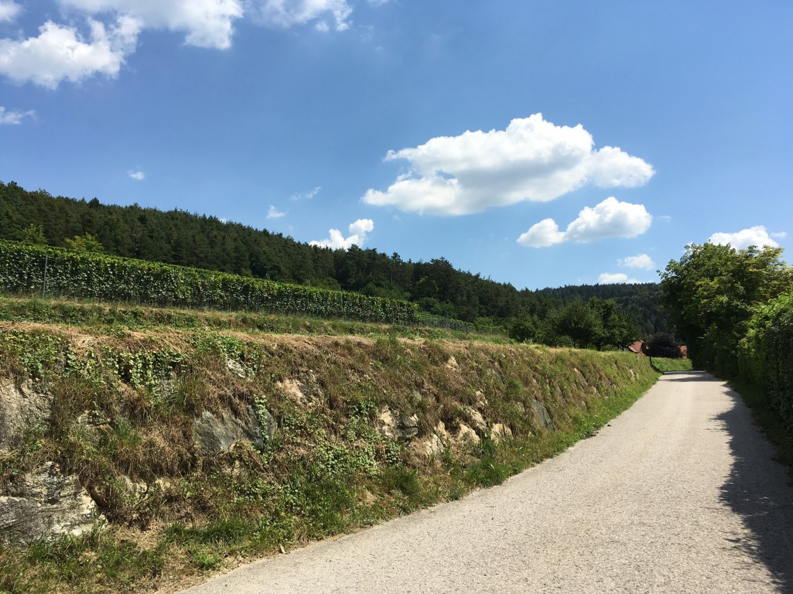 B109AF1A-603A-44EA-957B-03244AB5F320