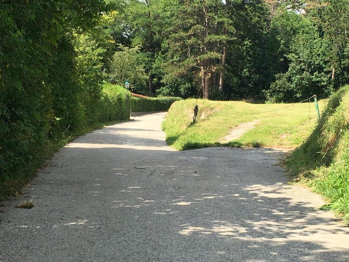 B53BF09F-2B70-4C21-A5D0-960C7E5550BA