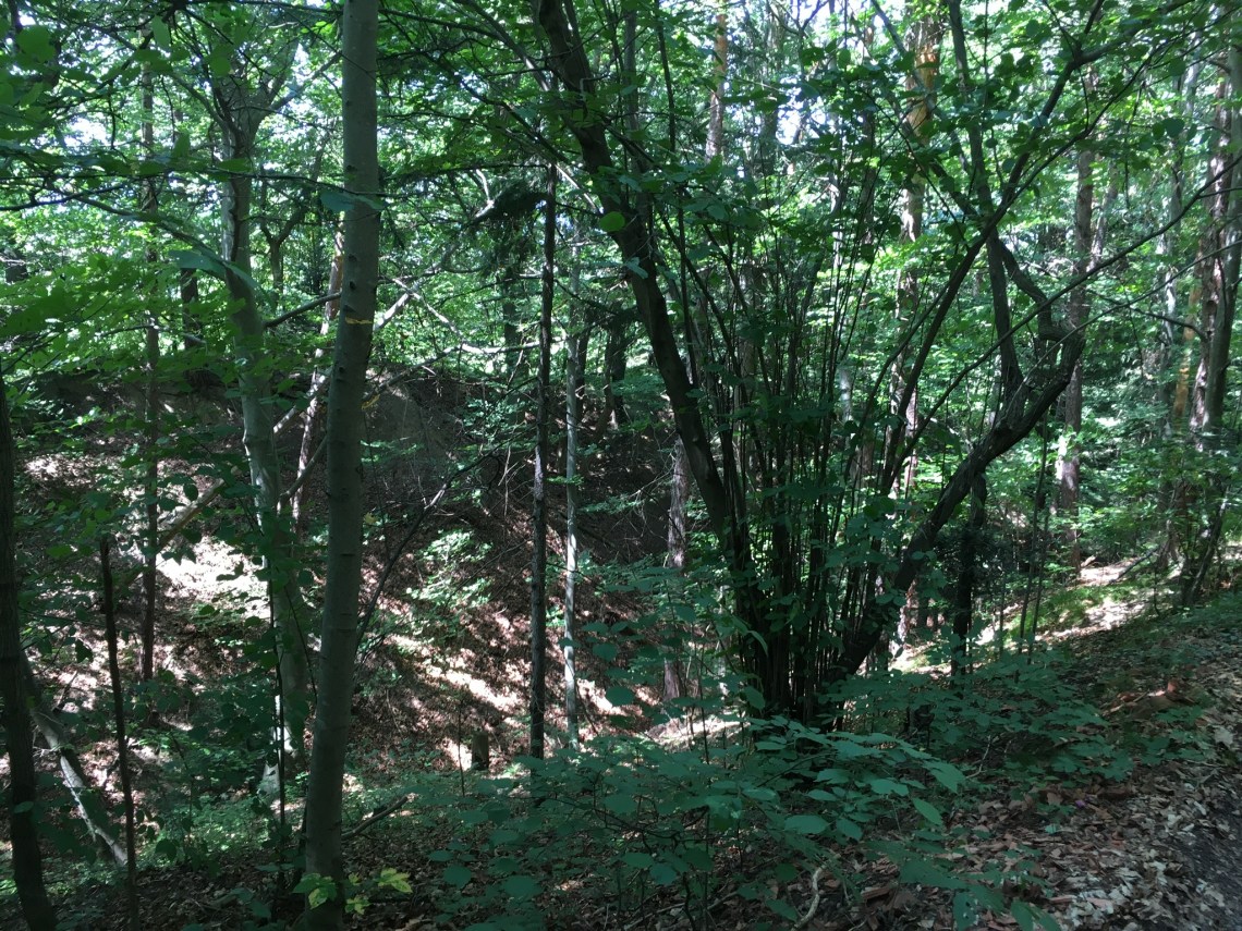 BB60E2E0-15DE-4452-9DB4-DF1858A594C0